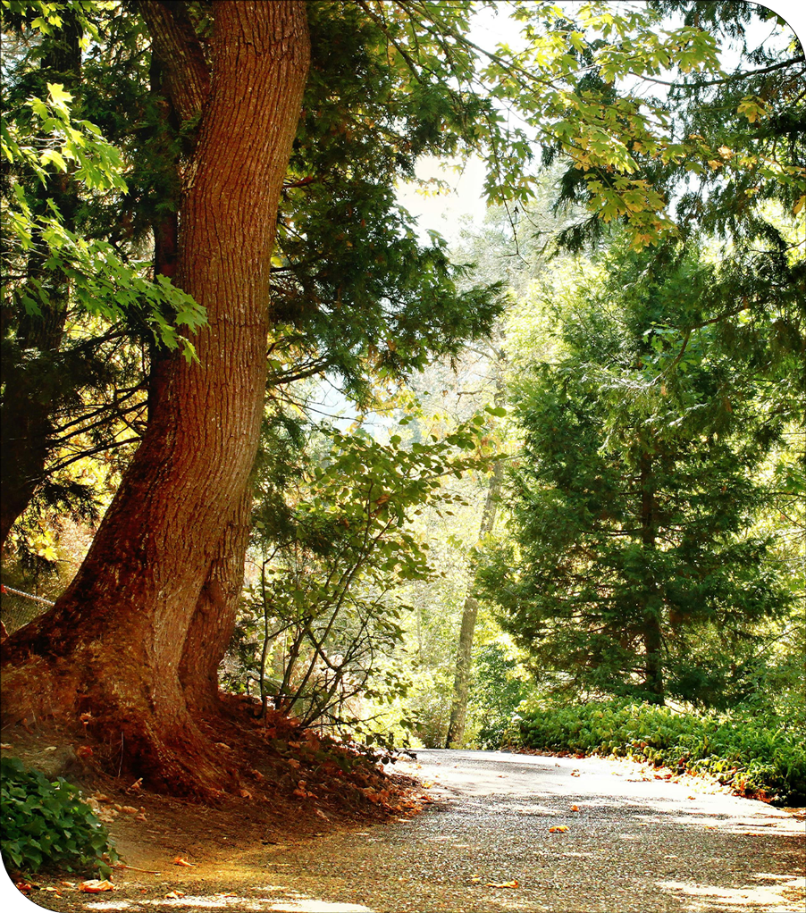 pacific-crest-trail-detox-portland-oregon